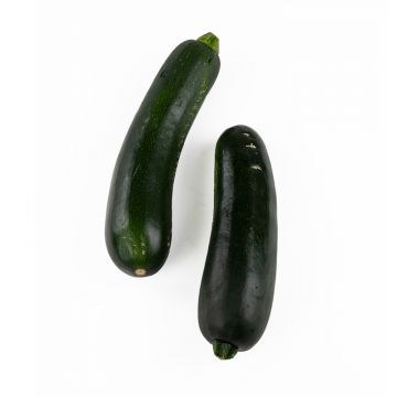 Two Medium Zucchinis