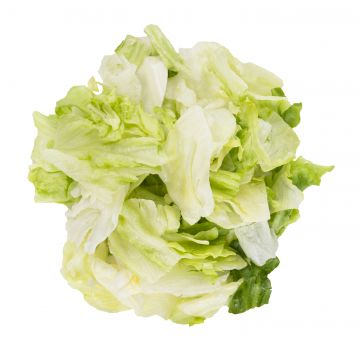 Tossed Salad - Colors Separated