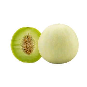 Honeydew