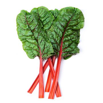 Red Swiss Chard