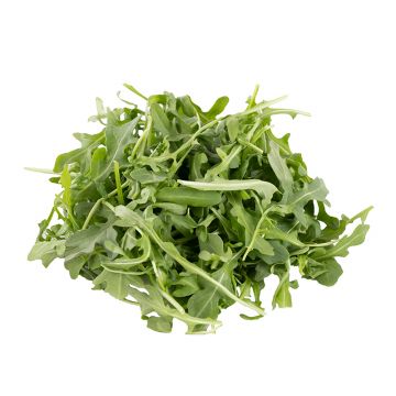 Wild Arugula