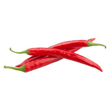 Thai Red Chili Peppers
