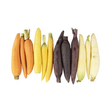 Baby Peeled Rainbow Carrots