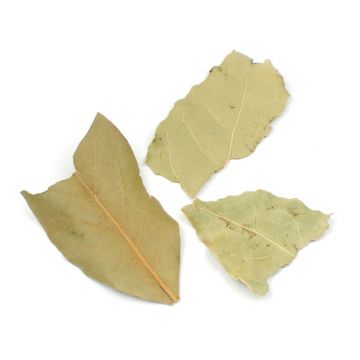 Bay Leaves