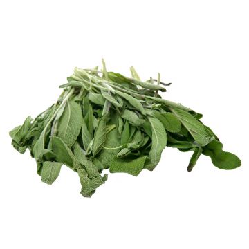 Sage