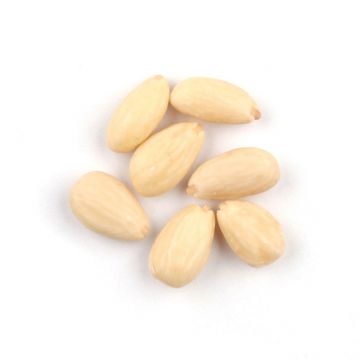 Blanched Whole Almonds