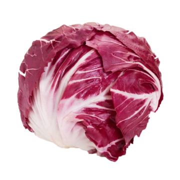 Radicchio