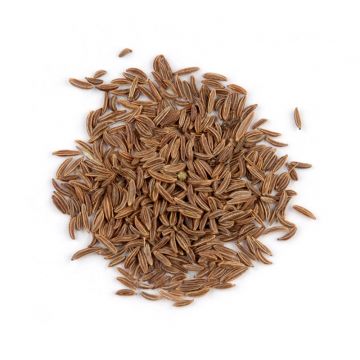 Caraway Seeds