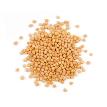 Whole Yellow Mustard Seed