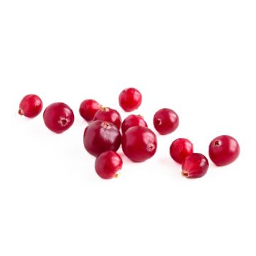 Frozen Organic Cranberries